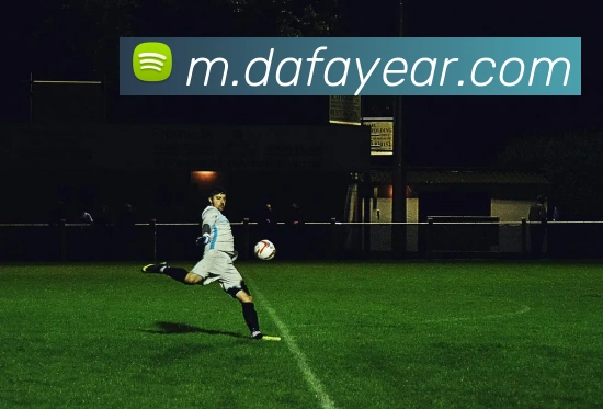 大发娱乐发展历程